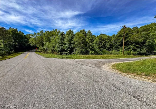 Photo 2 of Land for sale at 0 Oh 141, Patriot, OH 45658 | MLS# 5225014 | Listing updated on 2026-08-03