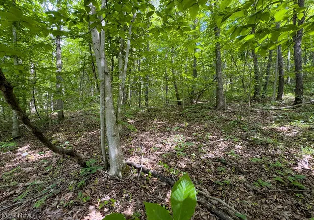 Photo 5 of Land for sale at 0 Oh 141, Patriot, OH 45658 | MLS# 5225014 | Listing updated on 2026-08-03