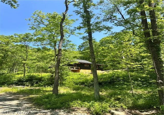 Photo 2 of Land for sale at Morton Hl Rd, Stafford, OH 43786 | MLS# 5224996 | Listing updated on 2026-07-21