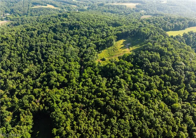 2nd image of 7413 Township Road 129, Millersburg, OH 44654 | MLS# 5224140