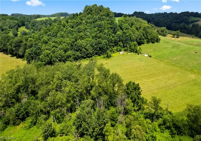 22nd image of 9145 Cologne Rd Sw, Bowerston, OH 44695 | MLS# 5225089