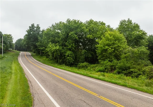 Homes for sale in Dundee, OH | Nw State Route 93, Dundee, OH 44624 | MLS# 5225306