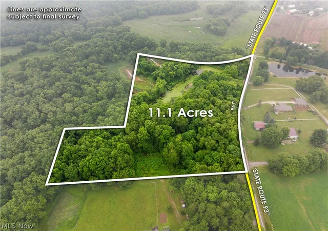Homes for sale in Dundee, OH | Nw State Route 93, Dundee, OH 44624 | MLS# 5225306