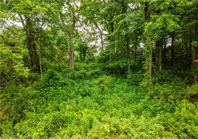 Photo 4 of Sale Pending at State Route 93, Dundee, OH 44624 | MLS# 5225306 | Listing updated on 2026-08-13