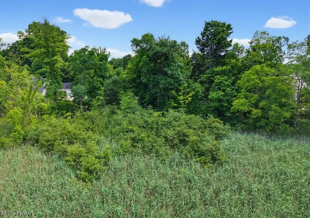 Homes for sale in Streetsboro, OH | 389 Opal Ct, Streetsboro, OH 44241 | MLS# 5224739