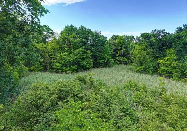Homes for sale in Streetsboro, OH | 389 Opal Ct, Streetsboro, OH 44241 | MLS# 5224739