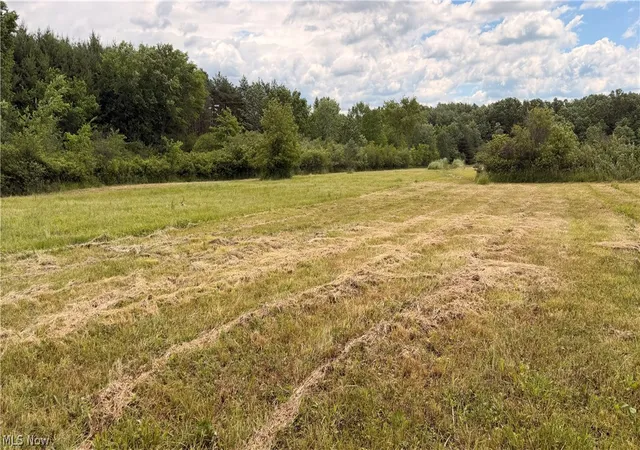 Photo 1 of Sale Pending at Leiby Osborne Rd, Southington, OH 44470 | MLS# 5225314 | Listing updated on 2026-09-28