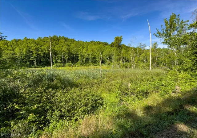Photo 5 of Land for sale at Tract 2 Jake Rd, Patriot, OH 45658 | MLS# 5225355 | Listing updated on 2026-08-03
