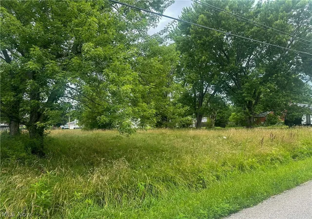 Homes for sale in Niles, OH | Longwood Ave, Niles, OH 44446 | MLS# 5225150