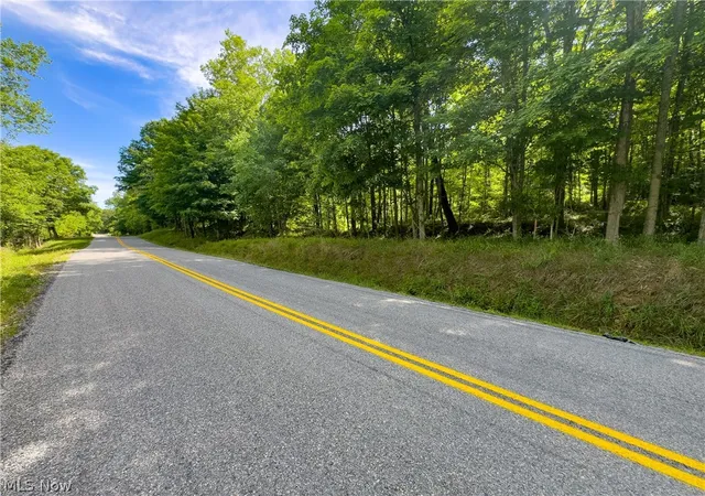 Homes for sale in Patriot, OH | Tract 5 Jake Rd, Patriot, OH 45658 | MLS# 5225483