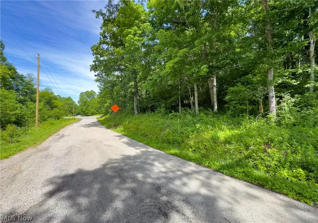 Homes for sale in Patriot, OH | Tract 5 Jake Rd, Patriot, OH 45658 | MLS# 5225483
