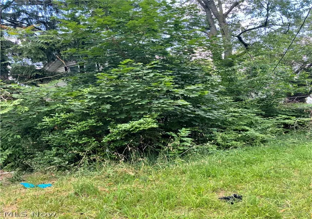 Photo 3 of Single family home for sale at 1398 E 91st Street, Cleveland, OH 44106 | MLS# 5225498 | Listing updated on 2026-07-16