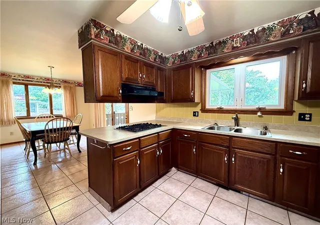Photo 3 of Single family home for sale at 1686 Roosevelt Ave, Niles, OH 44446 | MLS# 5225426 | Listing updated on 2026-09-26