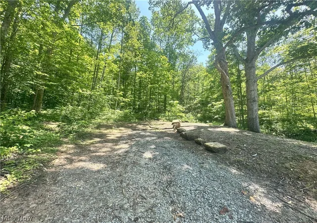 Photo 43 of Single family home for sale at 00001 Morton Hl Rd, Stafford, OH 43786 | MLS# 5225716 | Listing updated on 2026-08-24