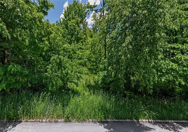 Photo 2 of Land for sale at 0 Charles St, Mansfield, OH 44903 | MLS# 5224222 | Listing updated on 2026-07-20