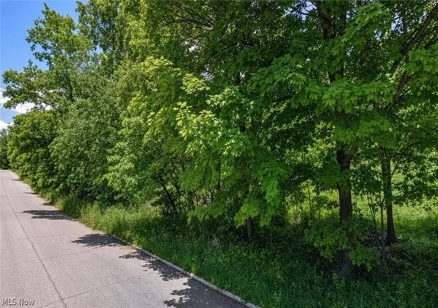 Photo 3 of Land for sale at 0 Charles St, Mansfield, OH 44903 | MLS# 5224222 | Listing updated on 2026-07-20
