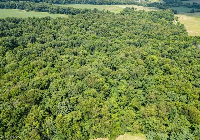 4th image of Lot 1 Township Rd 51, Somerset, OH 43783 | MLS# 5226363