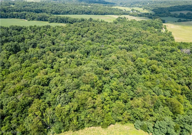 5th image of Lot 1 Township Rd 51, Somerset, OH 43783 | MLS# 5226363