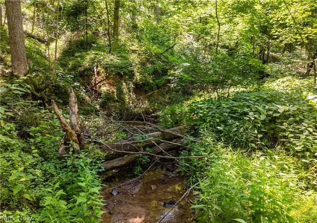 Photo 3 of Land for sale at Lot 3 Township Rd 51, Somerset, OH 43783 | MLS# 5226367 | Listing updated on 2026-07-10