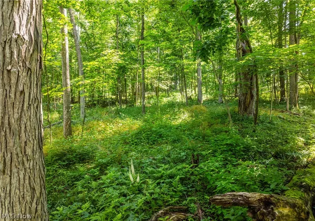 5th image of Lot 5 Township Rd 51, Somerset, OH 43783 | MLS# 5226372