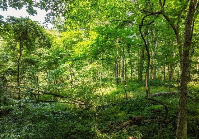 2nd image of Lot 6 Township Rd 51, Somerset, OH 43783 | MLS# 5226374