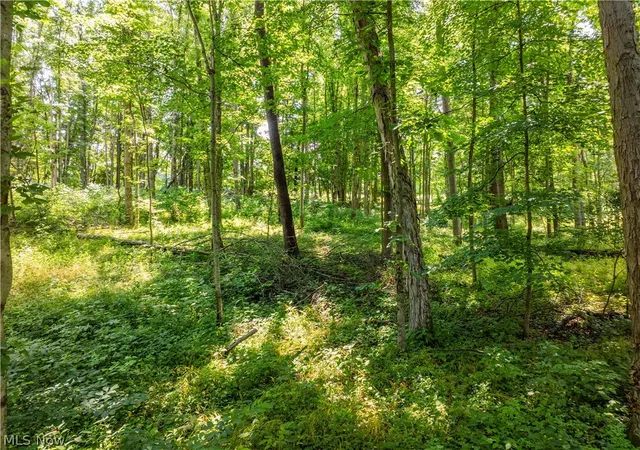 Photo 3 of Land for sale at Lot 6 Township Rd 51, Somerset, OH 43783 | MLS# 5226374 | Listing updated on 2026-07-10