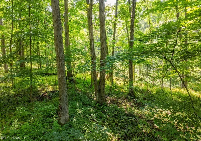 Photo 3 of House for sale at Lot 6 Township Rd 51, Somerset, OH 43783 | MLS# 5226374 | Listing updated on 2026-07-10
