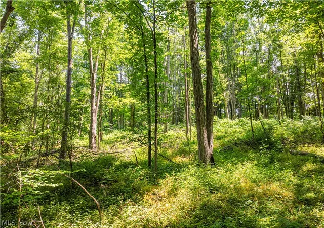 Photo 4 of House for sale at Lot 6 Township Rd 51, Somerset, OH 43783 | MLS# 5226374 | Listing updated on 2026-07-10