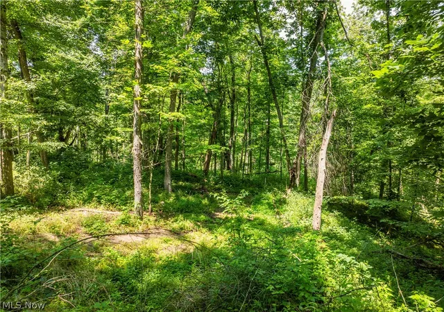 Photo 3 of Land for sale at Lot 8 Township Rd 51, Somerset, OH 43783 | MLS# 5226377 | Listing updated on 2026-07-10