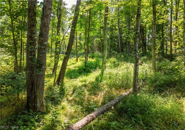 Photo 3 of House for sale at Lot 8 Township Rd 51, Somerset, OH 43783 | MLS# 5226377 | Listing updated on 2026-07-10