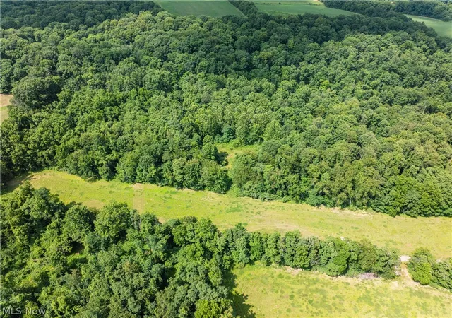 12th image of Lot 10 Township Rd 51, Somerset, OH 43783 | MLS# 5226387