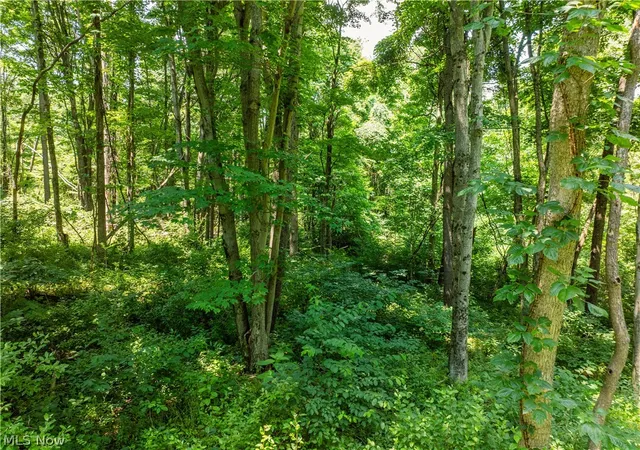 Photo 4 of House for sale at Lot 11 Township Rd 51, Somerset, OH 43783 | MLS# 5226388 | Listing updated on 2026-07-10