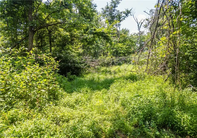 2nd image of Lot 13 Township Rd 51, Somerset, OH 43783 | MLS# 5226394