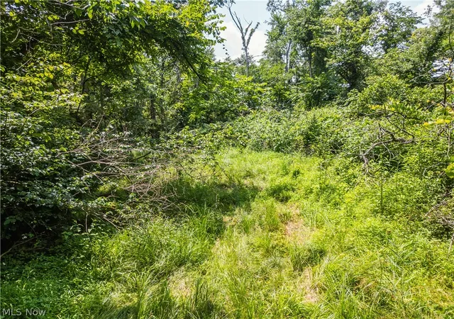 Photo 3 of Land for sale at Lot 13 Township Rd 51, Somerset, OH 43783 | MLS# 5226394 | Listing updated on 2026-07-10