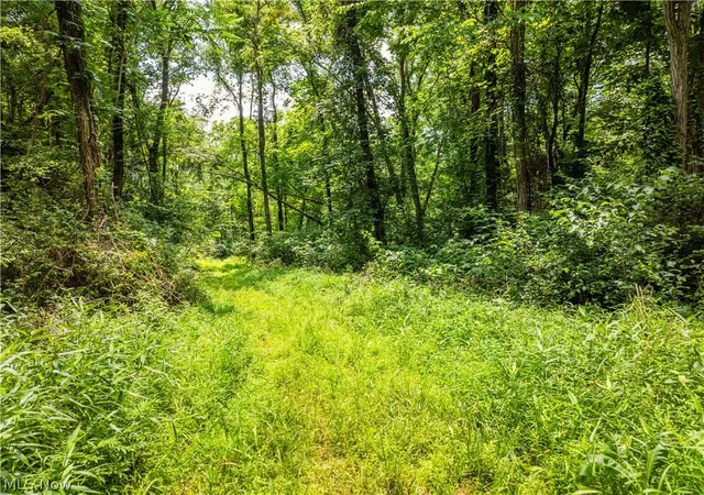 5th image of Lot 14 Township Rd 51, Somerset, OH 43783 | MLS# 5226396