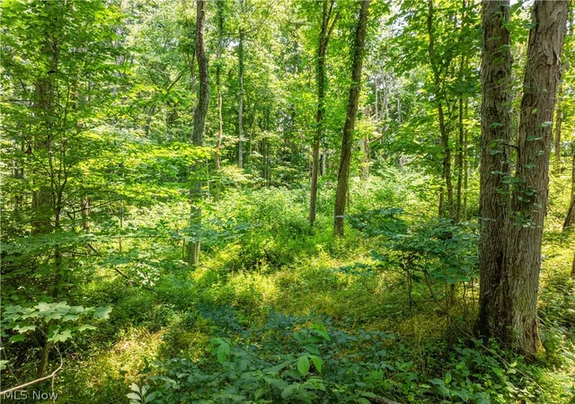 13th image of Lot 15 Township Rd 51, Somerset, OH 43783 | MLS# 5226398