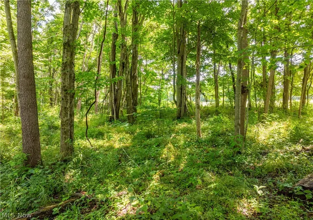 16th image of Lot 18 Township Rd 51, Somerset, OH 43783 | MLS# 5226405