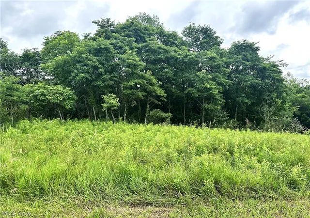 Photo 3 of Sale Pending at V/l Dogwood & Poplar Dr Sw, Carrollton, OH 44615 | MLS# 5226412 | Listing updated on 2026-09-21
