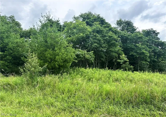 4th image of V/l Dogwood & Poplar Dr Sw, Carrollton, OH 44615 | MLS# 5226412