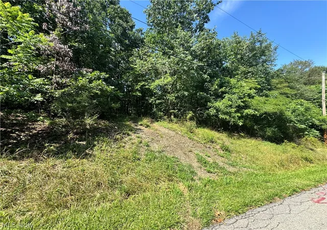 Photo 2 of Land for sale at 47308 Chippewa Trl, Negley, OH 44441 | MLS# 5226353 | Listing updated on 2026-08-05