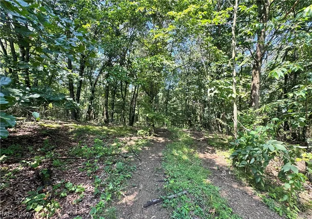 Photo 3 of Land for sale at 47308 Chippewa Trl, Negley, OH 44441 | MLS# 5226353 | Listing updated on 2026-08-05