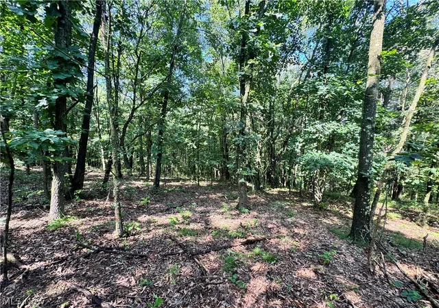 Photo 4 of Land for sale at 47308 Chippewa Trl, Negley, OH 44441 | MLS# 5226353 | Listing updated on 2026-08-05