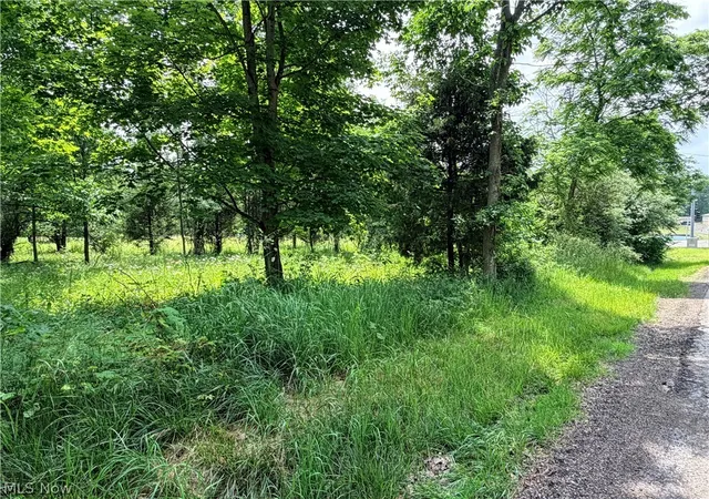 Photo 3 of Land for sale at Amoy W Rd, Shelby, OH 44875 | MLS# 5217878 | Listing updated on 2026-07-10