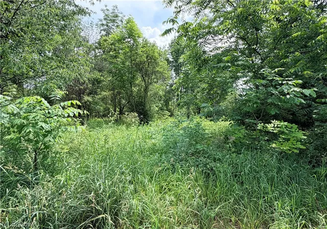 Photo 4 of Land for sale at Amoy W Rd, Shelby, OH 44875 | MLS# 5217878 | Listing updated on 2026-07-10