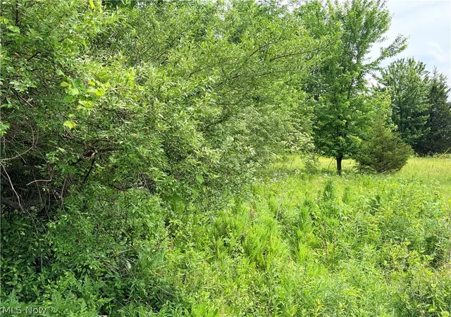 Photo 5 of Land for sale at Amoy W Rd, Shelby, OH 44875 | MLS# 5217878 | Listing updated on 2026-07-10
