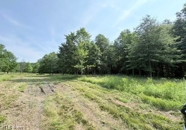 Homes for sale in Deerfield, OH | State Route 14, Deerfield, OH 44411 | MLS# 5226600