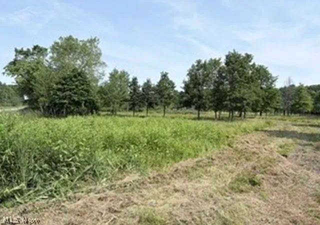 Homes for sale in Deerfield, OH | State Route 14, Deerfield, OH 44411 | MLS# 5226600