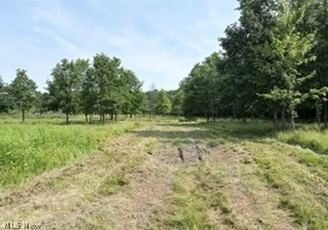 Homes for sale in Deerfield, OH | State Route 14, Deerfield, OH 44411 | MLS# 5226600