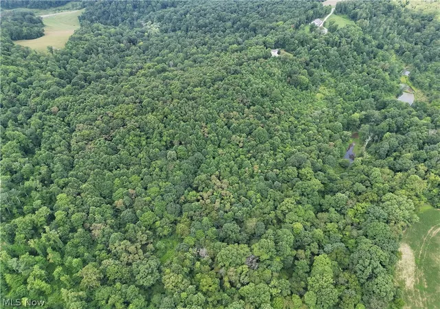 14th image of 260 Ocelot Rd Ne, Salineville, OH 43945 | MLS# 5226505