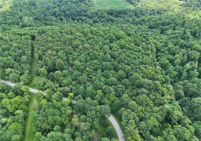 2nd image of 260 Ocelot Rd Ne, Salineville, OH 43945 | MLS# 5226505